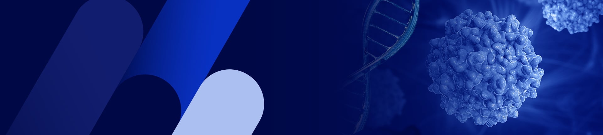 AAV Plasmid Solutions