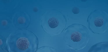 Cell Isolation and Activation