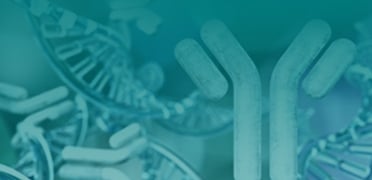 Anti-GS Linker Affinity Resin FF