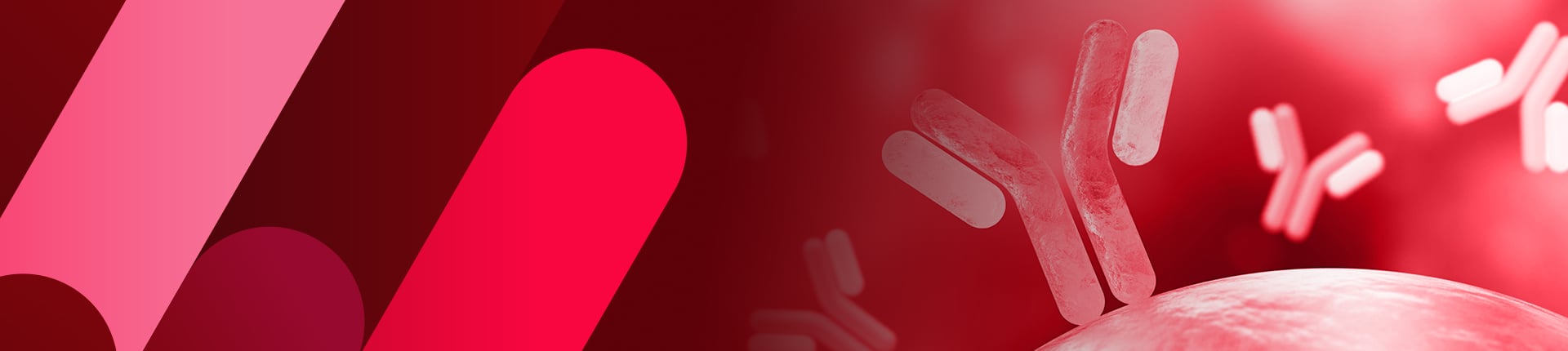 Anti-idiotype Antibody Services