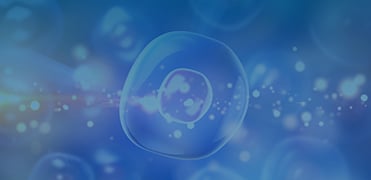 GPCR Stable Cell Lines