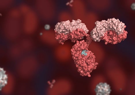 Anti-scFv Antibodies