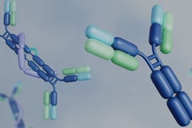 Antibody drug development