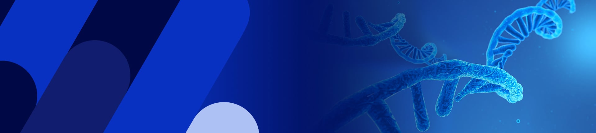 Catalog IVT mRNA, circRNA, saRNA and LNP products