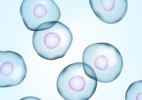 CytoSinct™ Cell Isolation Nanobeads