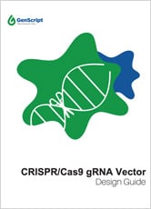 CRISPR/Cas9 gRNA Vector