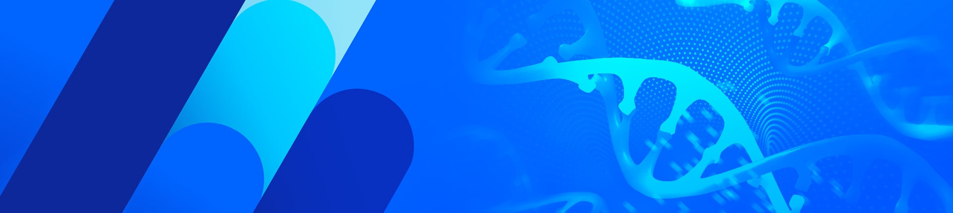  CRISPR Cell Line Development