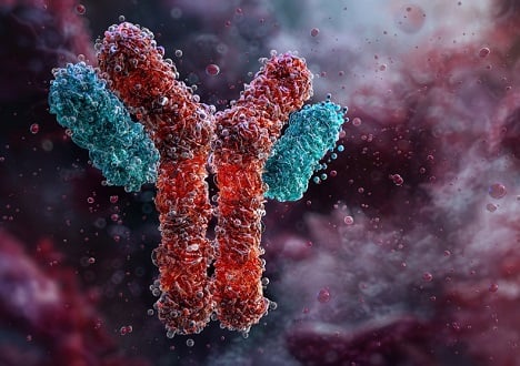 Epitope Tag Antibodies