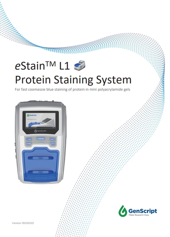 eStainTM L1