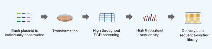 Arrayed Library Assembly Workflow