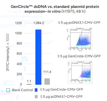 GenCircleTM dsDNA vs. standard plasmid protein expression– in vitro (H1975, 48 h)
                