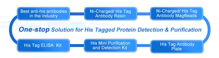 One-stop Solution for His Tagged Protein Detection & Purification