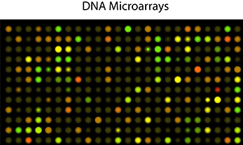 3. PCR-based DNA Synthesis (1980s)