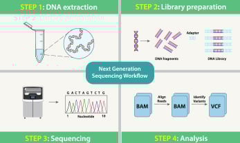 Second Generation: Next-Generation Sequencing (NGS)