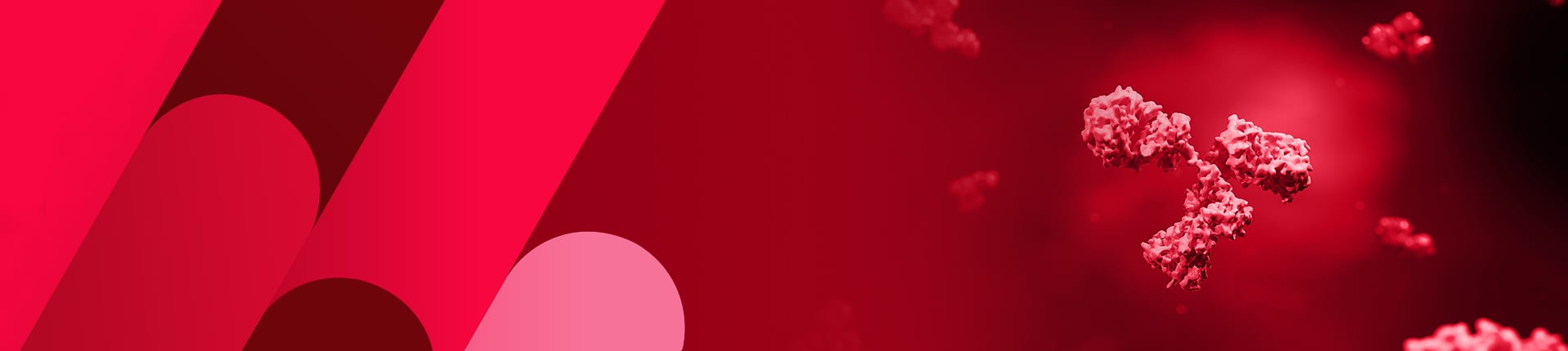 Custom Monoclonal Antibody Development Services