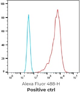 Serum titer after hPTX-LNP immunization