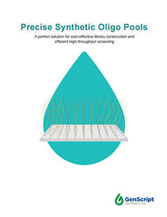 Oligo Pools Brochure