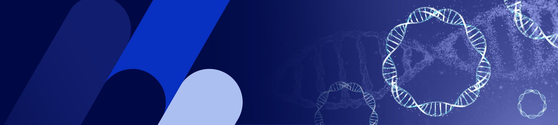 Plasmid DNA Preparation Service