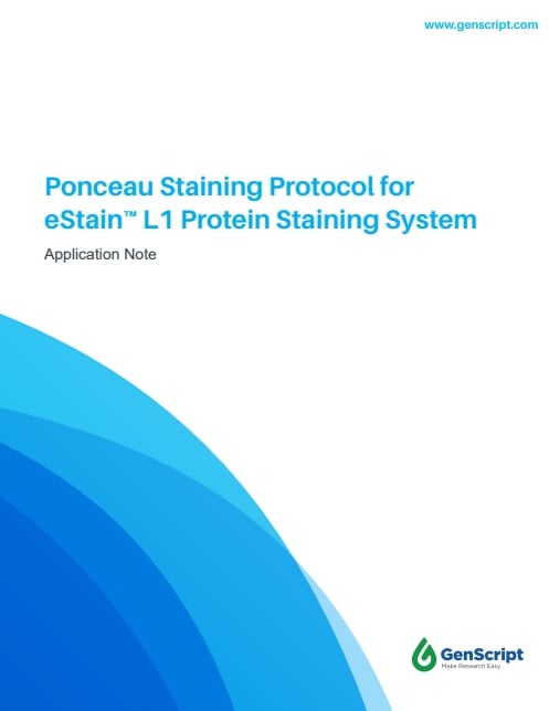 Ponceau Staining Protocol for eStain™ L1 Protein Staining System