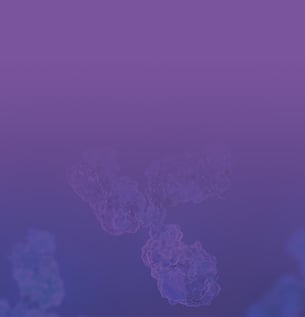 Electrophoresis Power Supply