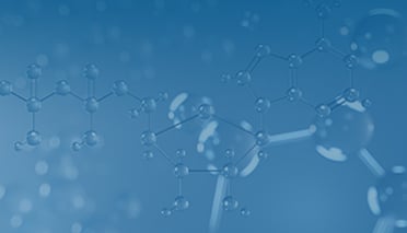 Purification Magnetic Beads