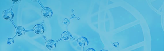 DYKDDDDK-tagged Protein Purification