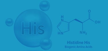 His-Tag Protein Purification