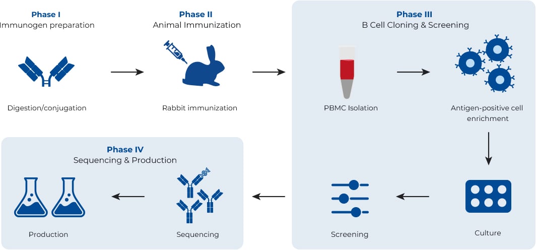 Anti-ID Mouse Monoclonal Antibody Package