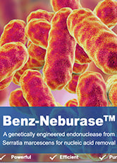 Benz-Neburase™ S. marcescens Nuclease