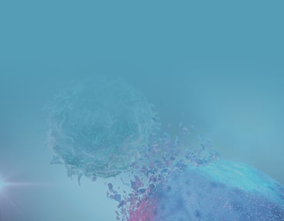 Fc Receptor Stable Lines