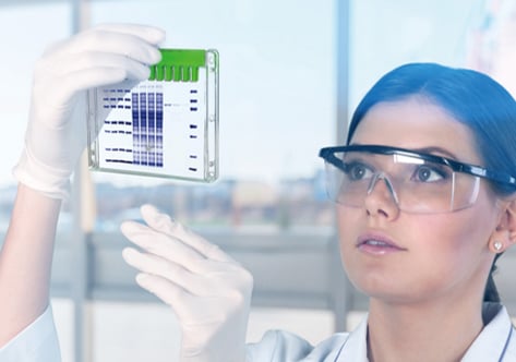 New GenCRISPR™ Handbook