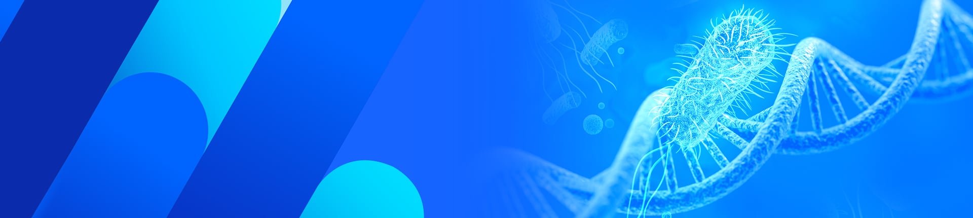 GenScript's Standard Polyclonal Antibody Services