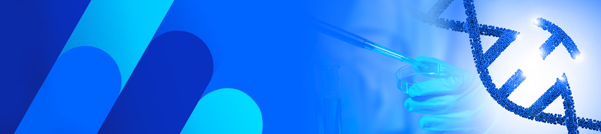 CRISPR Non-viral CAR-T Knock-In Optimization Kits