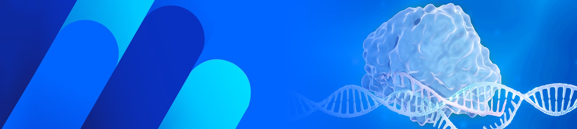 GenCRISPR Services