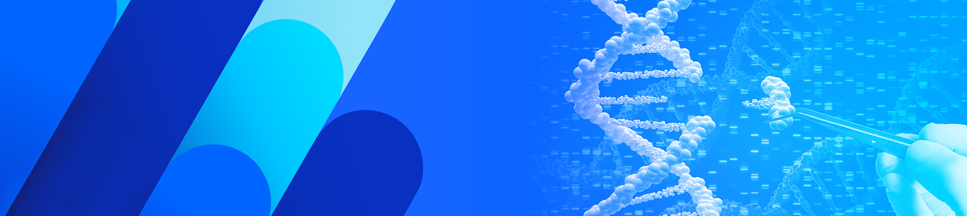 cGMP ssDNA And dsDNA Services Are Here!