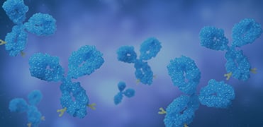 MonoRab™ Anti-Camelid VHH Affinity Resin