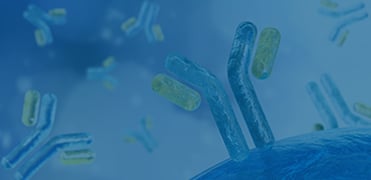 VHH Affinity Ligand ELISA kit