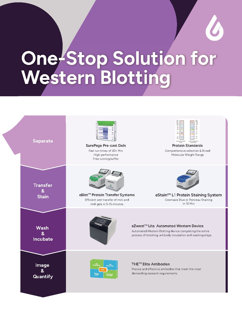 ONE-STOP SOLUTION FOR WESTERN BLOTTING