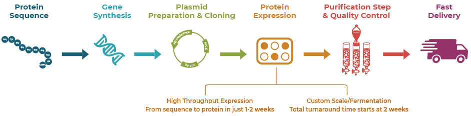 BacPower™ Customized Service Workflow