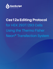 Cas12a Editing Protocol for HEK 293T/293 Cells Using the Thermo Fisher Neon® Transfection System