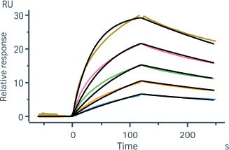 37 VHH-His 1mL Expression *AI generated sequences