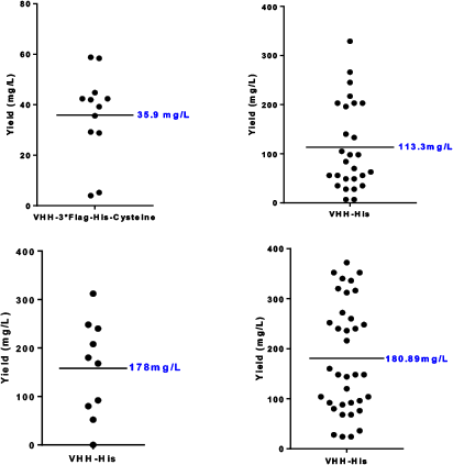 VHH-His in 1mL Scale