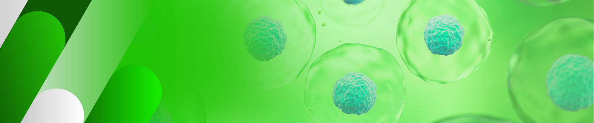 Cell Isolation and Activation