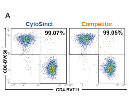 （A）分选后典型的流式散点图