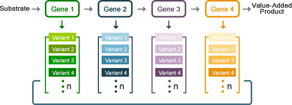 High-Throughput DNA Library Assembly Service Workflow