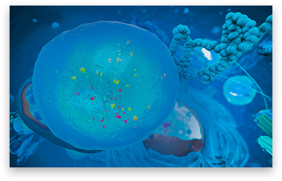 Lysosomal Storage Disorders