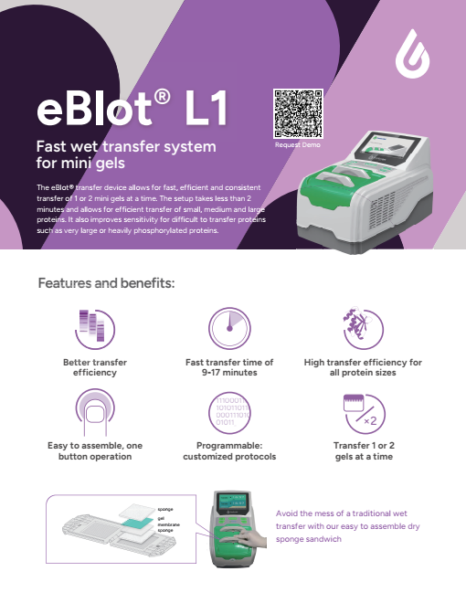 eBlot™ L1