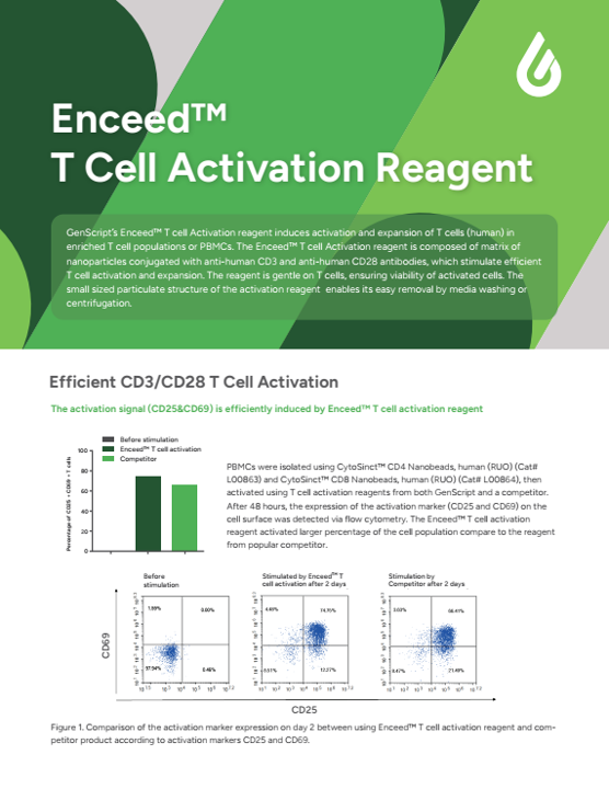 Enceed™ T cell Activation Reagent