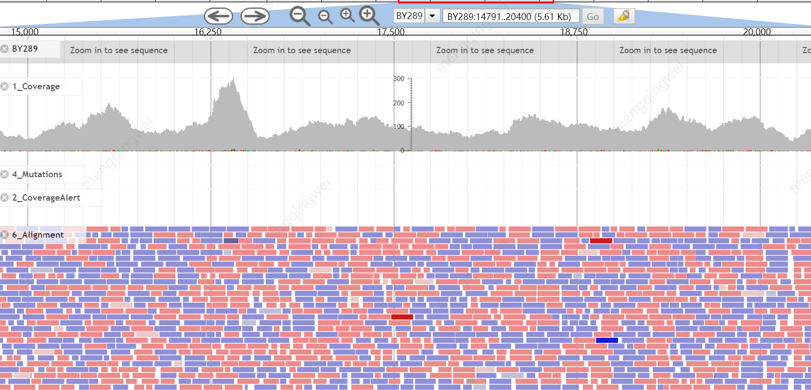 NGS sequencing for final validation