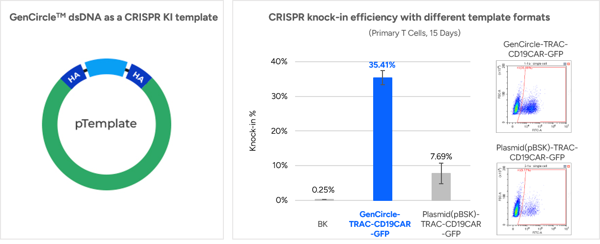GenCircleTM dsDNA as a CRISPR KI template 